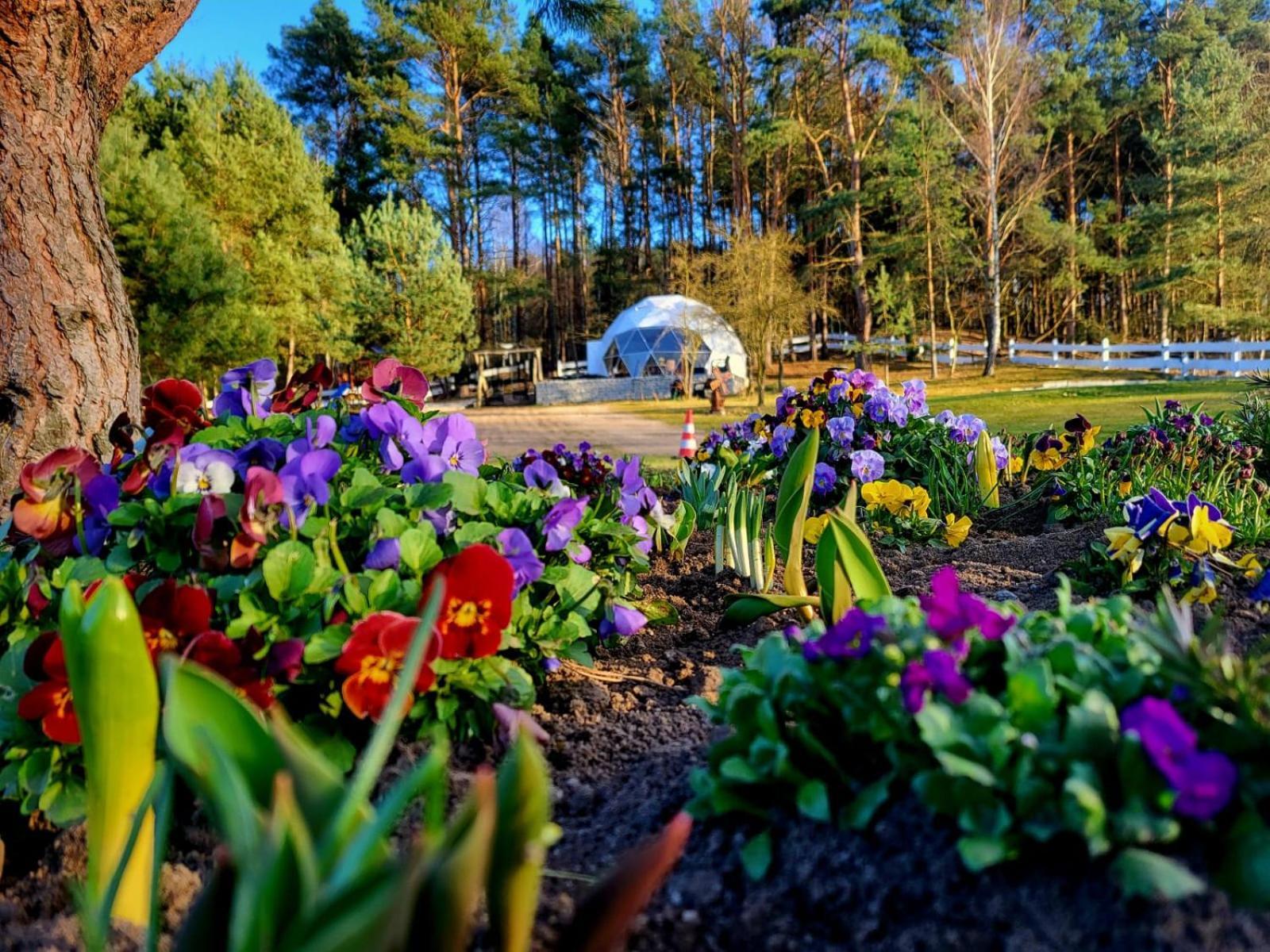 Glamping Pod Orlem Hotel Cedynia Exterior photo