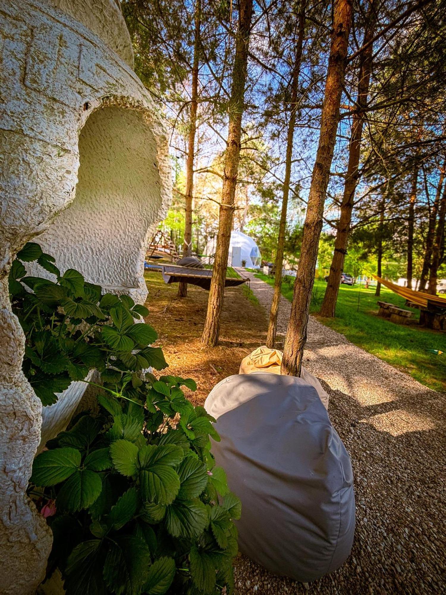 Glamping Pod Orlem Hotel Cedynia Exterior photo